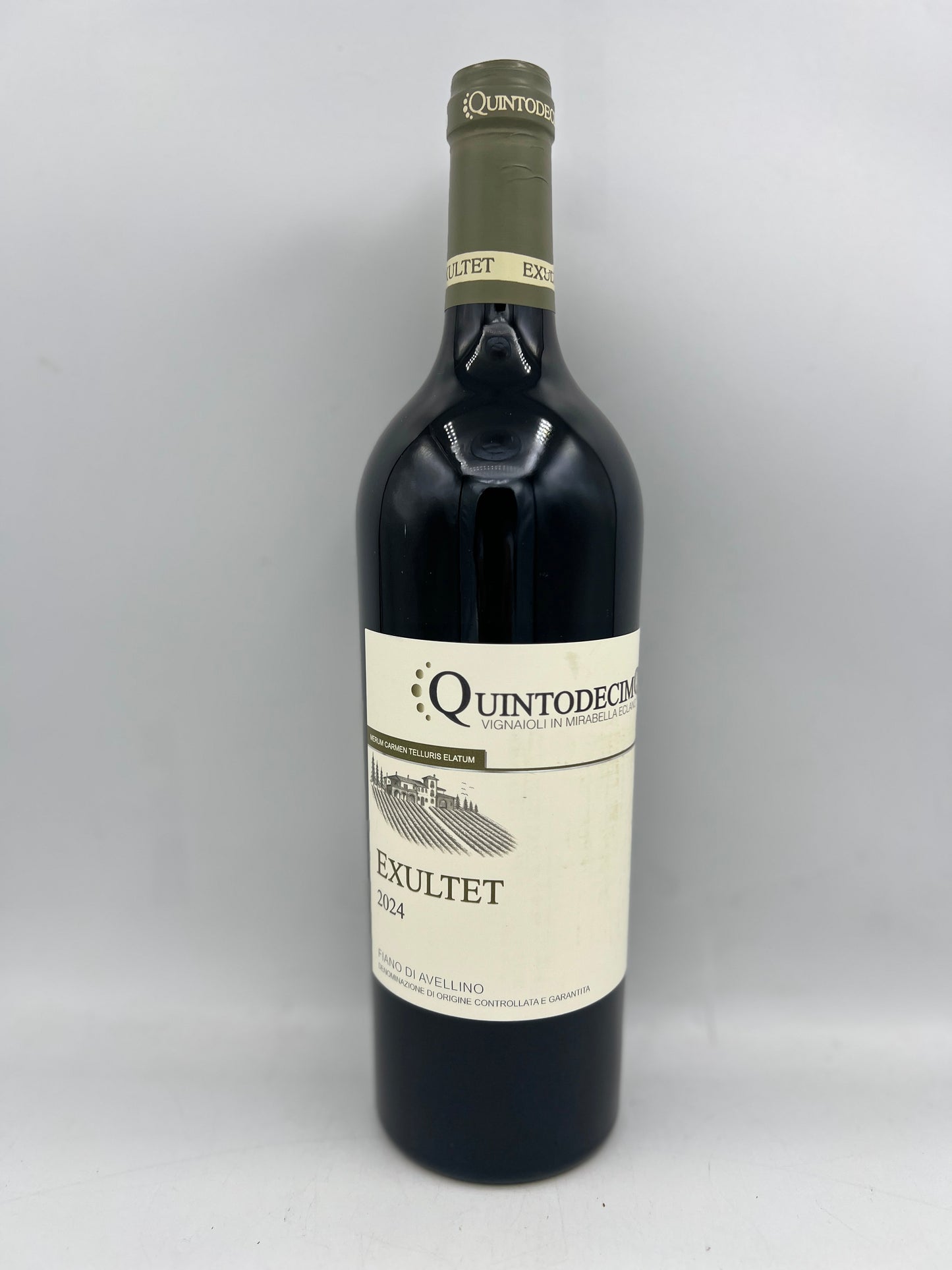 Quintodecimo Fiano di Avellino Exultet DOCG 2024