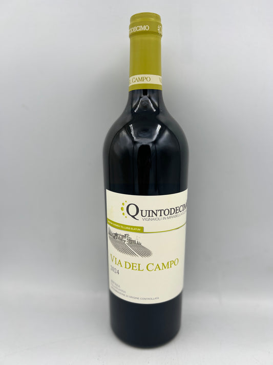 Quintodecimo Falanghina Via del Campo Irpinia DOC 2024