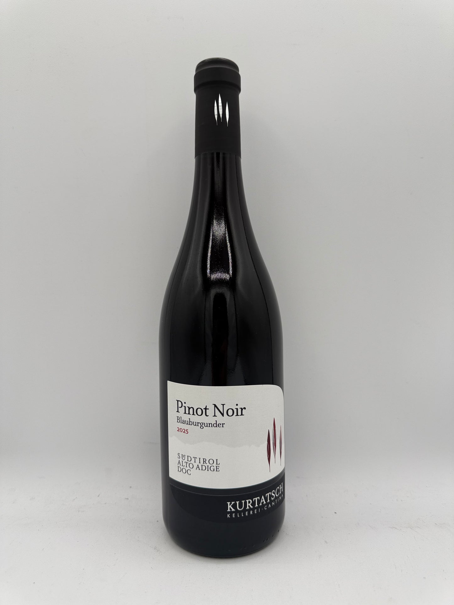 KURTATSCH Pinot Noir Blauburgunder 2025 Südtirol Alto Adige DOC [5+1 GRATIS]