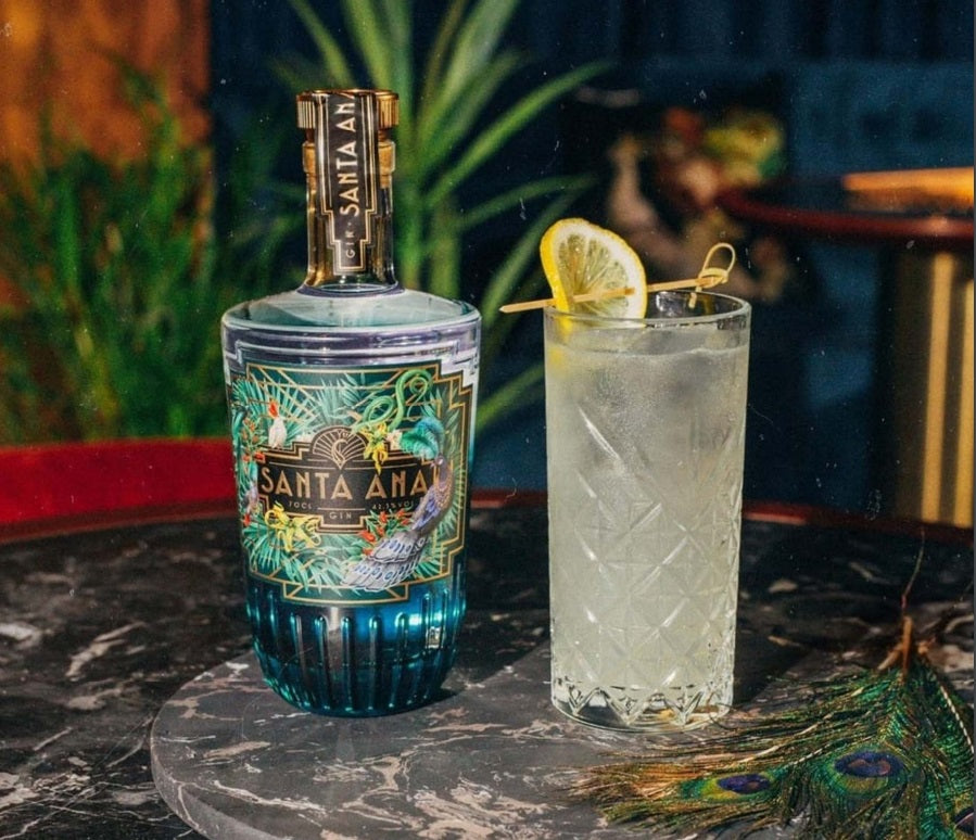 GIN SANTA ANA FLORALE 70CL